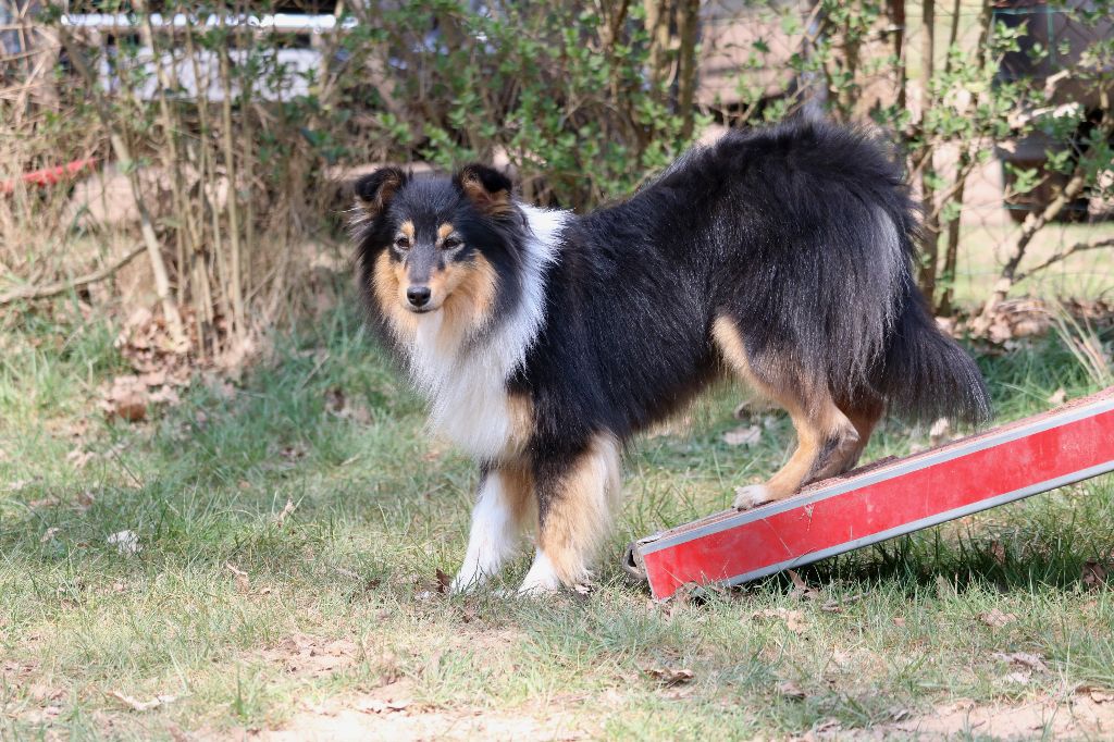 Lola du Domaine de la Salvonière