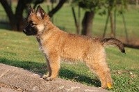ONIX